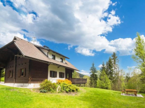 Very spacious detached holiday home in Carinthia near skiing areas and lakes Gnesau